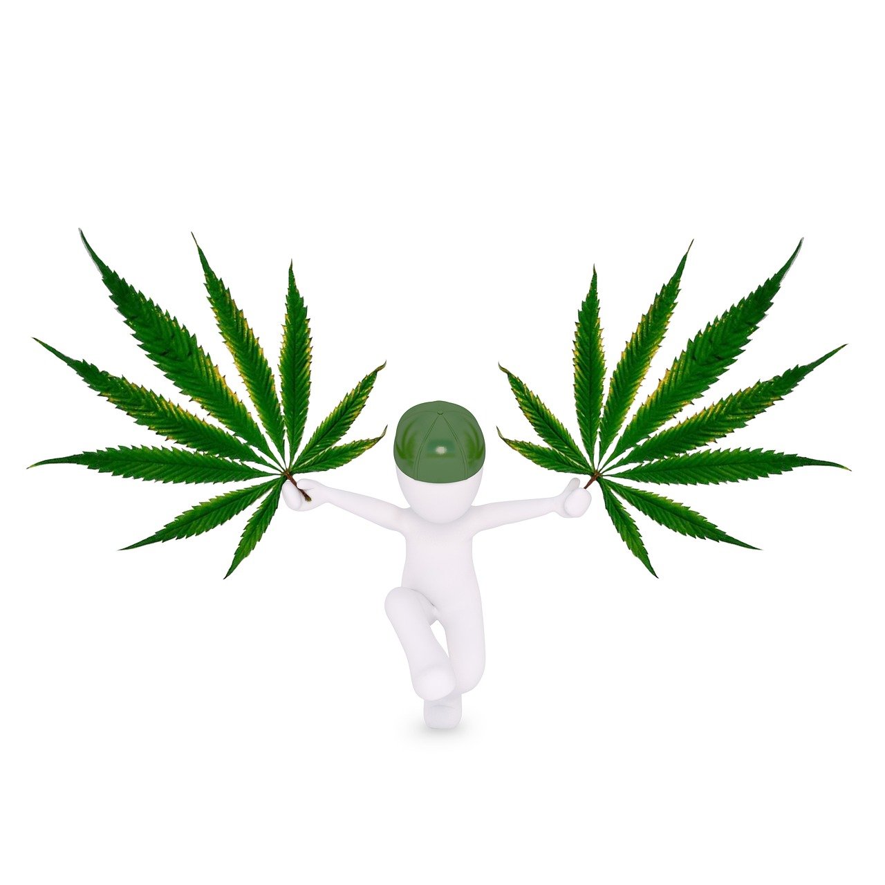 ganja, hemp, mari-6018524.jpg