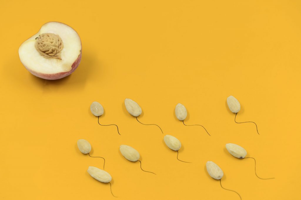 Sperm trying to reach egg imitated by fruit