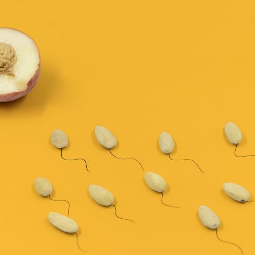 Sperm trying to reach egg imitated by fruit