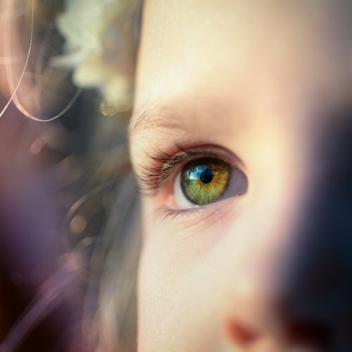 girl, iris, eye-2119595.jpg